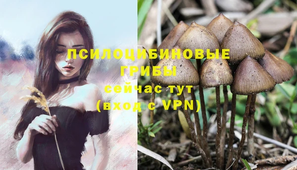 дживик Переславль-Залесский