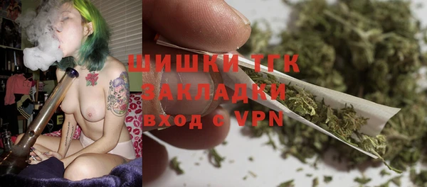 дживик Переславль-Залесский
