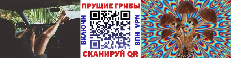 Галлюциногенные грибы Cubensis  mega как войти  Наволоки 